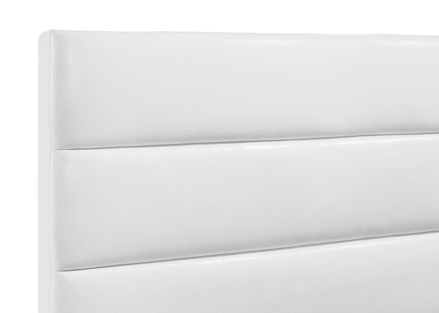 Cama Queen tapizada Felicity de 53 pulgadas, color blanco
