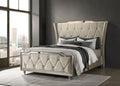 Lorient Queen LED Upholstered Wingback Bed Black