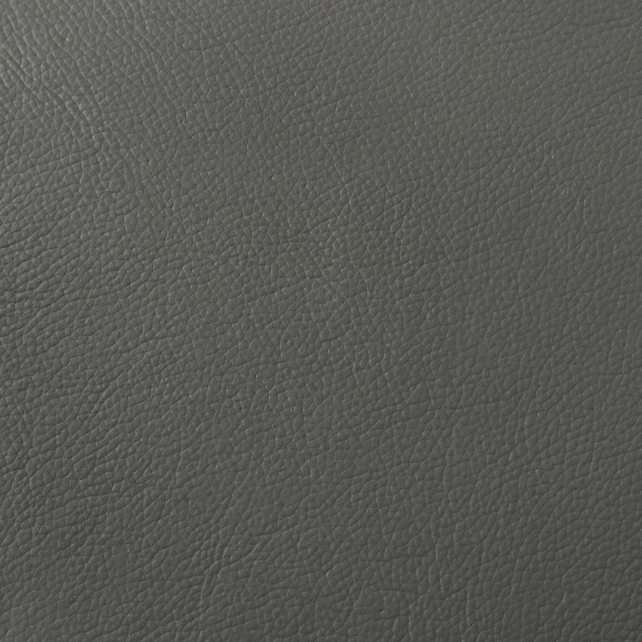 Buxton 2-piece Leather Upholstered Sofa Set Graphite